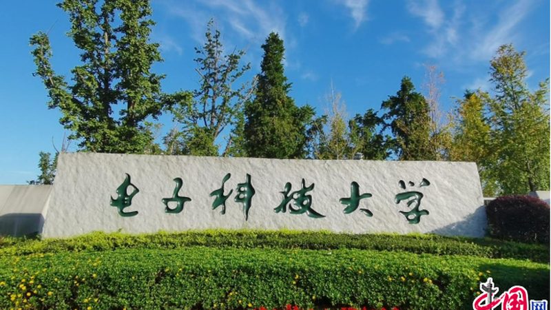 电子设计厂家排名，揭秘背后的考量因素**